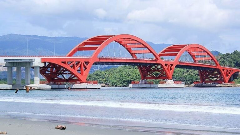 6 Pemerintah Penuhi Kebutuhan Masyarakat dan Percepat Pembangunan Papua
