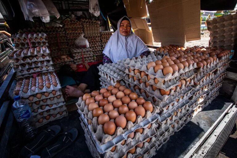 f Telur 1174892047