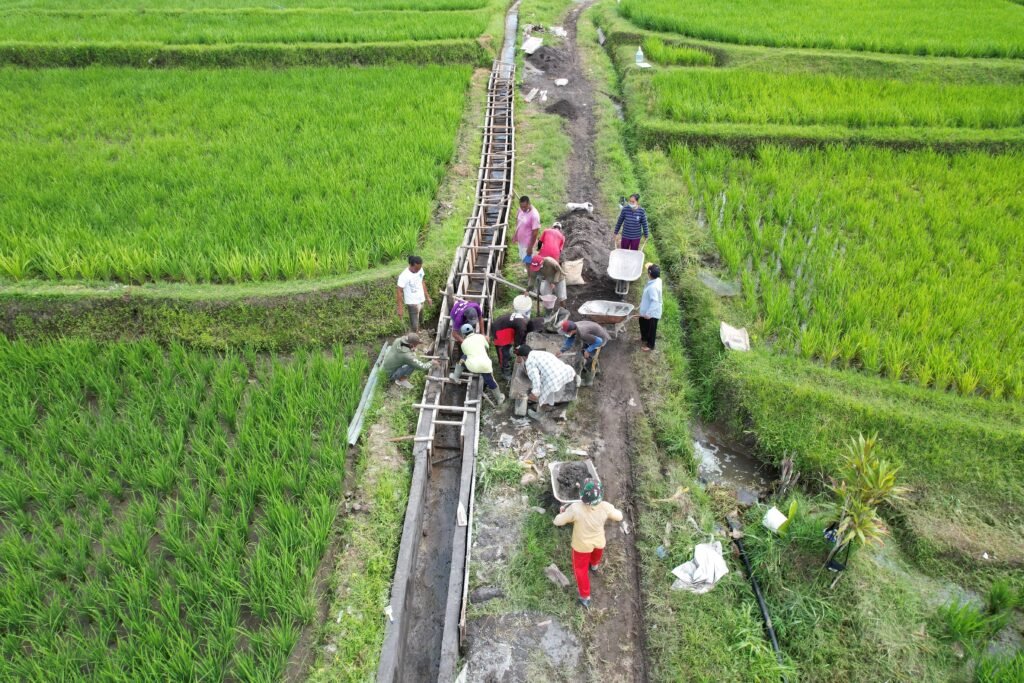 padat_karya_tunai_wujudkan_swasembada_pangan_di_12_000_lokasi_melalui_p3-tgai_1732092222_cb7d350d834c6157a9c7