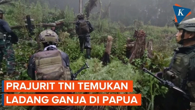 berita_1750747268