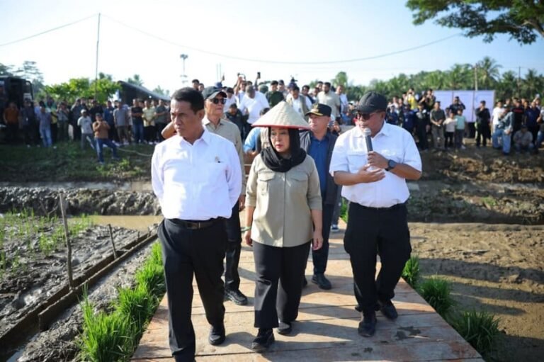 mentan-amran-rehabilitasi-sawah-pascabencana-di-sumatera-tanggung-jawab-negara-ryk