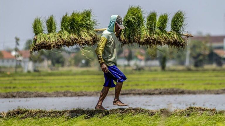 swasembada-pangan-2
