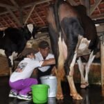 Kunjungan-Siswa-SD-di-Fapet-UGM-768x510