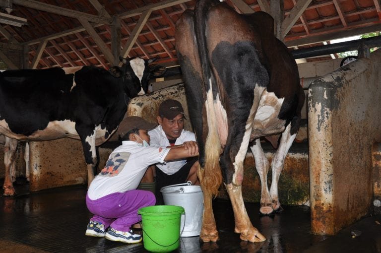 Kunjungan-Siswa-SD-di-Fapet-UGM-768x510