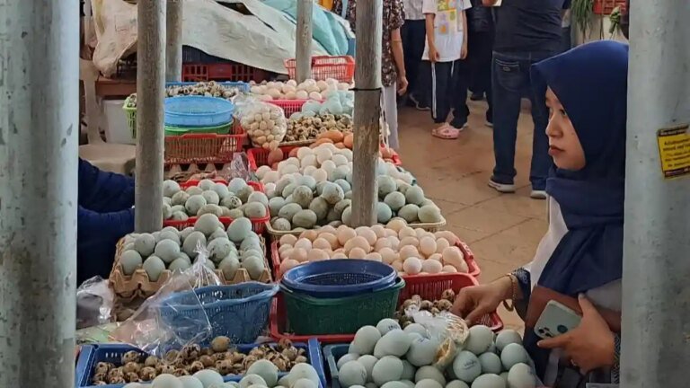 Penjual-telur-purwokerto