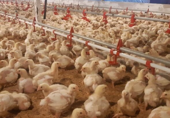 WhatsApp-Image-2020-12-02-at-11.43.10