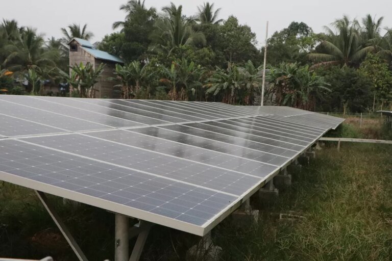 plts-menamang-3829158299