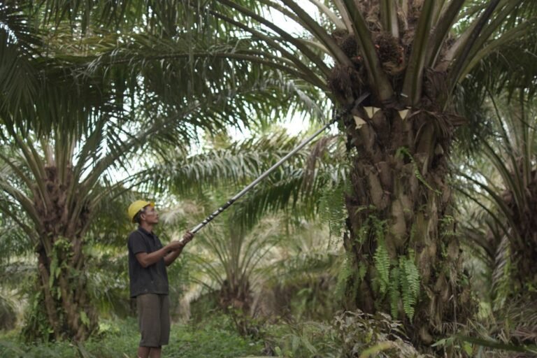 DA3AFB32-8E54-4AAB-B89F-D0635C913BF3