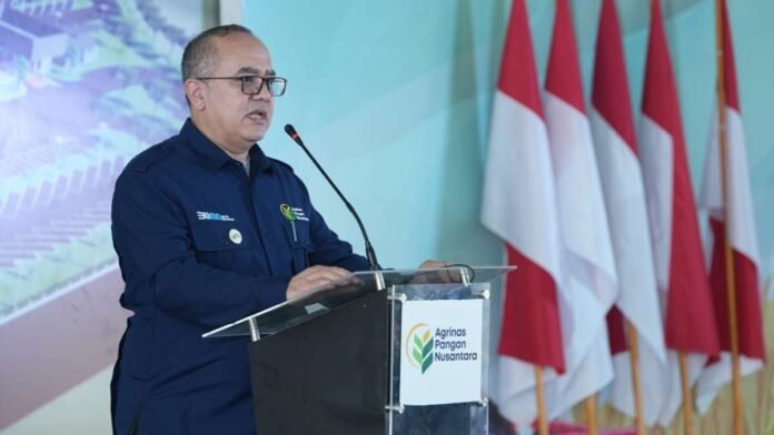Direktur-Utama-PT-Agrinas-Pangan-Nusantara-Joao-Angelo-De-Sousa-Mota-696x392