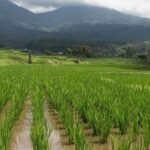 IMG-20260309-WA0023-e1773170763743