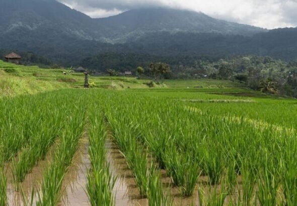 IMG-20260309-WA0023-e1773170763743