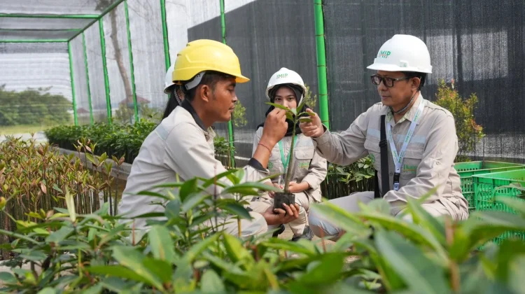 full_1772694406195514_38a482bab4_berita_palu