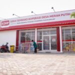 ok-koperasi-4021186159
