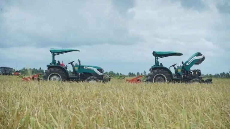 Ilustrasi-petani-mengolah-sawah-pada-masa-tanam-padi-c