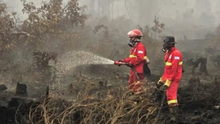 Warganet-Soroti-Karhutla-Kalimantan-Kemenhut-Sebut-Titik-Api-Bertambah-Kualitas-Udara-Berbahaya