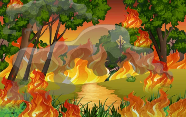Screenshot-2026-10-03-212848-768x487