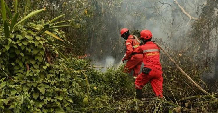 hotspot-karhutla-naik-kemenhut-perkuat-operasi-pemadaman_329071